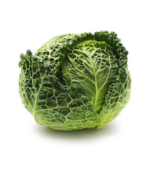 Savoy Cabbage