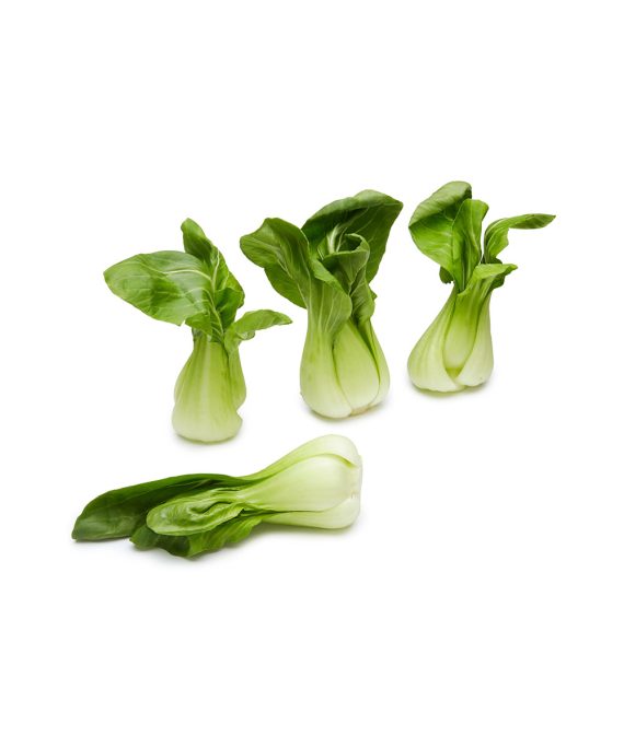 Shanghai Green Baby Bok Choy